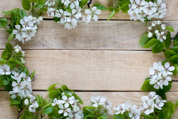 Fundo de madeira natural com flores brancas árvore de fruto — Fotografia de Stock