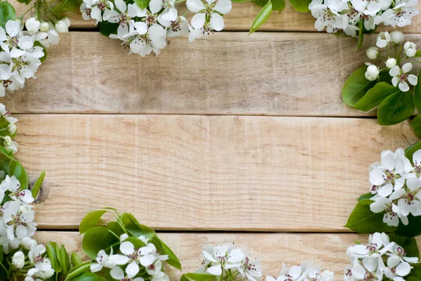 Natuurlijke houten achtergrond met witte bloemen fruitboom Stockafbeelding