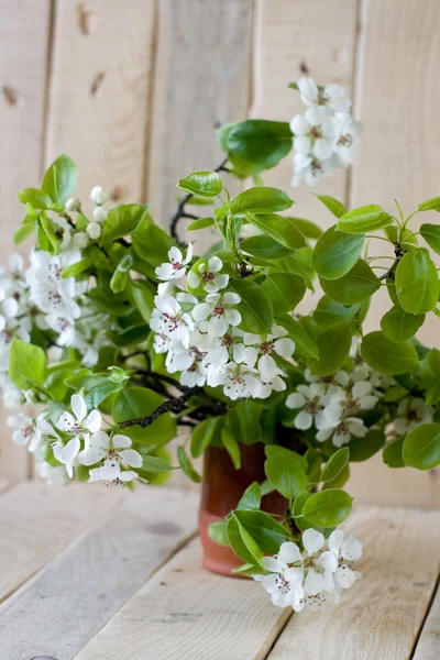 Un ramo de ramas florecientes de árboles frutales — Foto de Stock