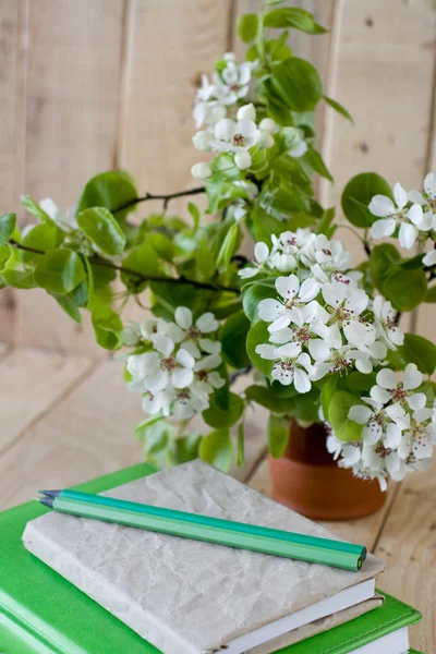 En bukett av blommande grenar av fruktträd — Stockfoto