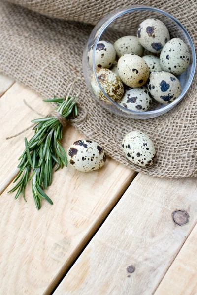 Huevos de codorniz, un montón de romero y arpillera — Foto de Stock