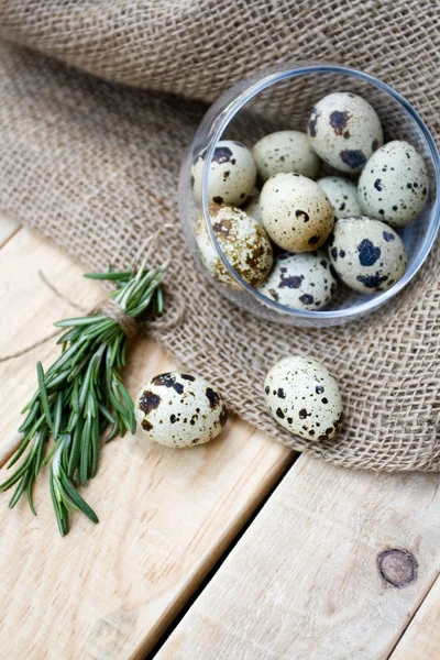 Huevos de codorniz, un montón de romero y arpillera — Foto de Stock