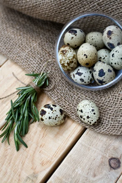 Huevos de codorniz, un montón de romero y arpillera — Foto de Stock