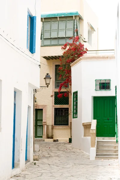 Rue avec portes en bois et buisson avec des fleurs à Mahdia . — Photo