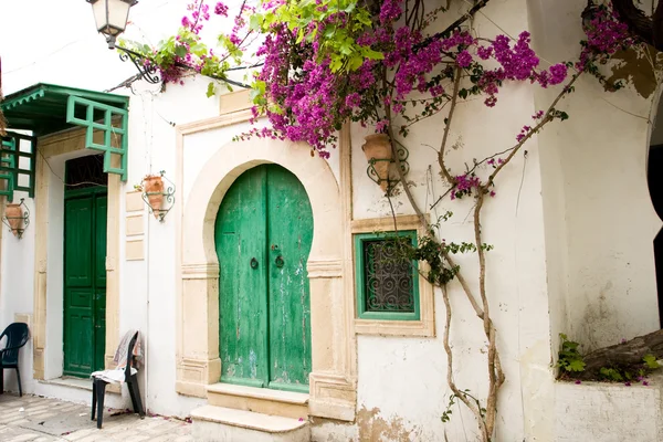 Calle con puertas de madera y arbusto con flores en Mahdia . —  Fotos de Stock