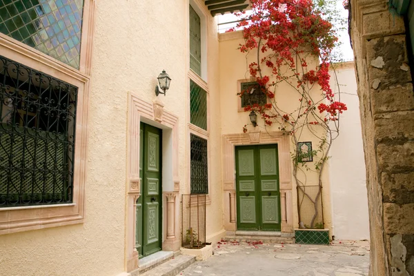 Calle con puertas de madera y arbusto con flores en Mahdia. Tunisi. — Foto de Stock