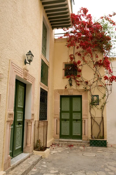 Calle con puertas de madera y arbusto con flores en Mahdia . — Foto de Stock