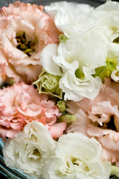 Beau fond de fleurs pour cartes de mariage — Photo