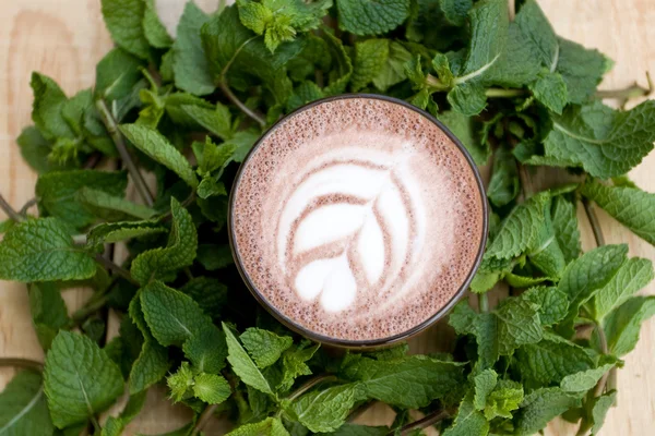 Un utile e salutare cacao alla menta in fragranti ramoscelli di menta . — Foto Stock