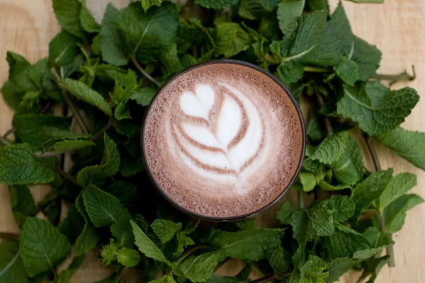 Utile Salutare Cacao Alla Menta Fragranti Ramoscelli Menta — Foto Stock