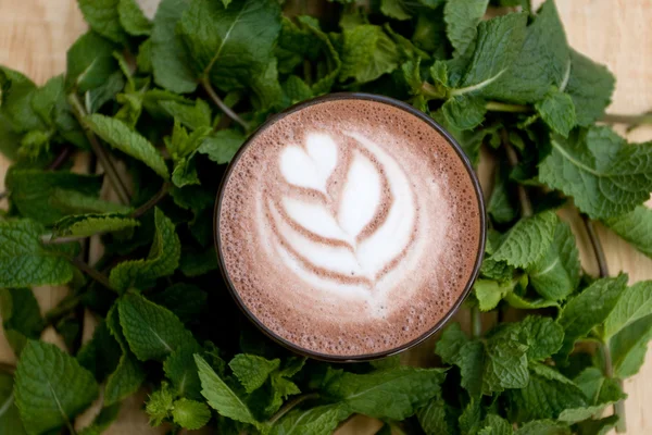 Un utile e salutare cacao alla menta in fragranti ramoscelli di menta . — Foto Stock
