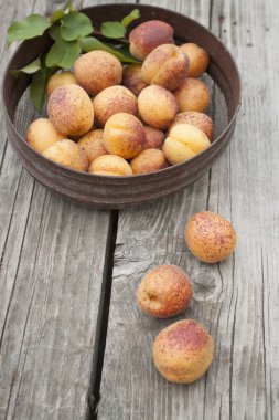 Olgun kayısı bir tabak. 