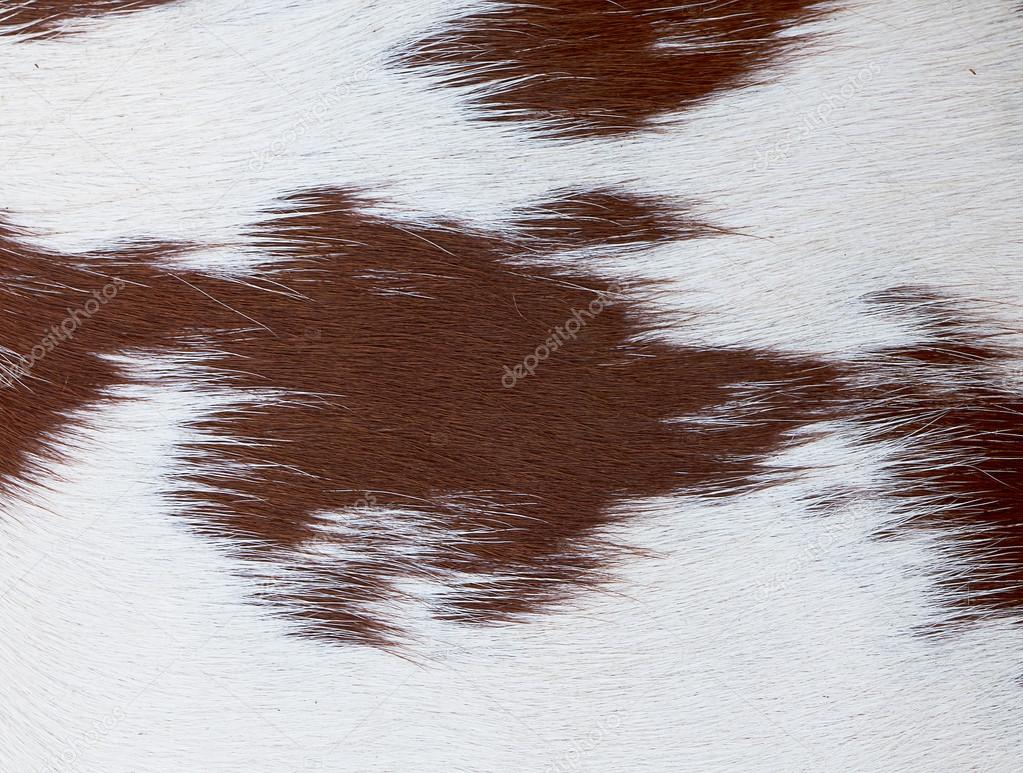 Brown and white cowhide