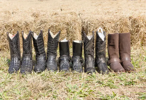 Crocodile cowboy leather boots — Stock Photo, Image