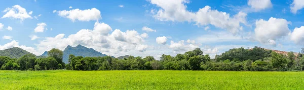 Panorama Landscape View Green Grass Field Agent Blue Sky Countryside — Stock Photo, Image