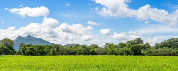 Panorama Landscape View Green Grass Field Agent Blue Sky Countryside — Stock Photo, Image