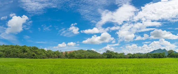 Panorama Landscape View Green Grass Field Agent Blue Sky Countryside — Stock Photo, Image