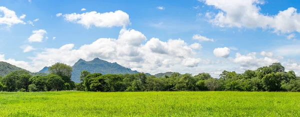 Panorama landscape view of green grass field agent blue sky in countryside of Thailand