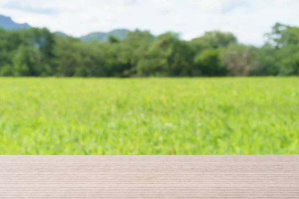 Trä Planka Naturligt Grönt Gräs Fält Landsbygden — Stockfoto