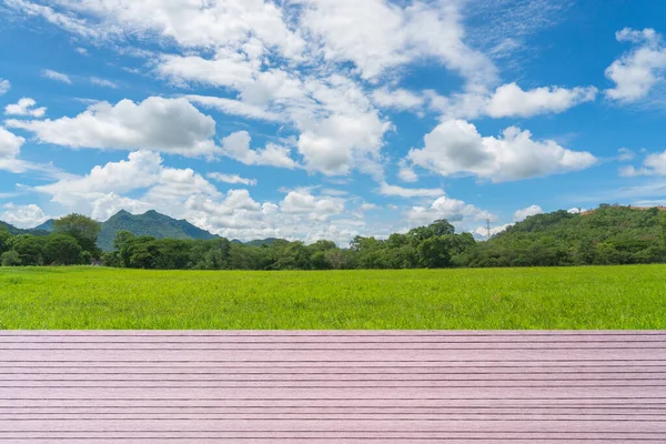 Wood Plank Natural Green Grass Field Countryside — Stock Photo, Image