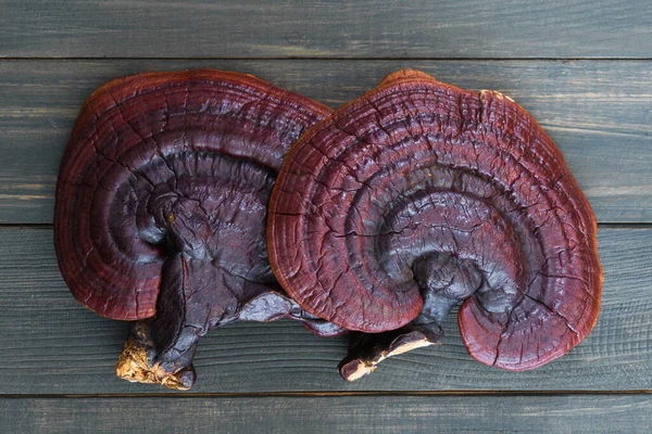 Großaufnahme Von Ling Zhi Pilz Ganoderma Lucidum Pilz Auf Holztisch — Stockfoto