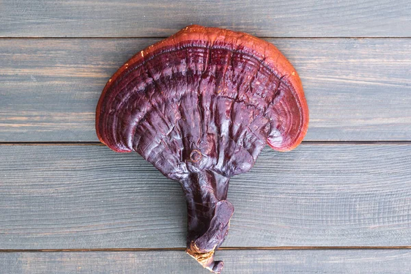 Großaufnahme Von Ling Zhi Pilz Ganoderma Lucidum Pilz Auf Holztisch — Stockfoto