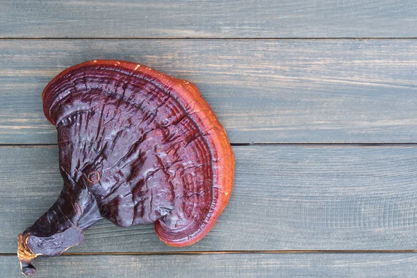 Close Van Ling Zhi Paddestoel Ganoderma Lucidum Paddestoel Houten Tafel — Stockfoto