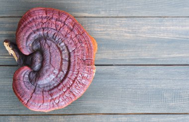 Ling zhi mantarı, Ganoderma lucidum mantarı ve ahşap masa.