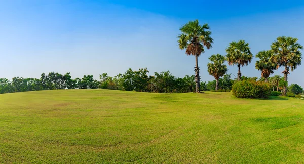 Golf Sahasında Yeşil Çimenler Palmiye Ağaçları Panorama Yeşil Arazisi — Stok fotoğraf