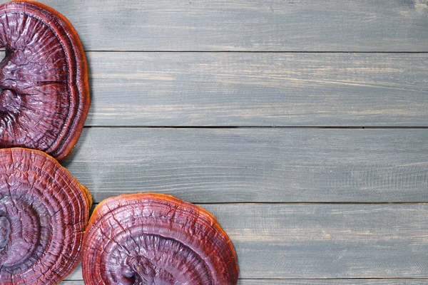 Zblízka Houby Ling Zhi Ganoderma Lucidum Houby Dřevěné Podlaze — Stock fotografie