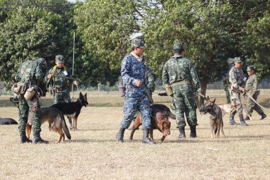 Savaş eğitim köpekleri