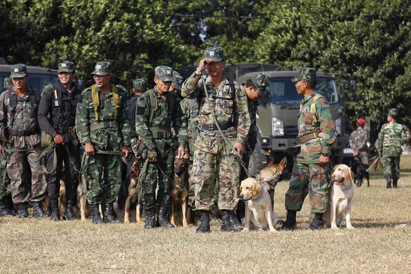 Képzés kutyák háború — Stock Fotó