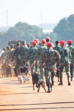 Savaş eğitim köpekleri
