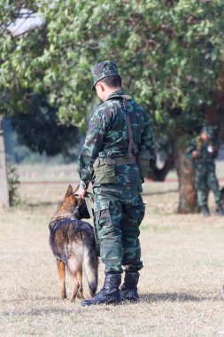 Savaş eğitim köpekleri
