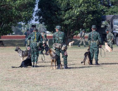 Savaş eğitim köpekleri