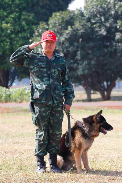戦争の犬の訓練 — ストック写真