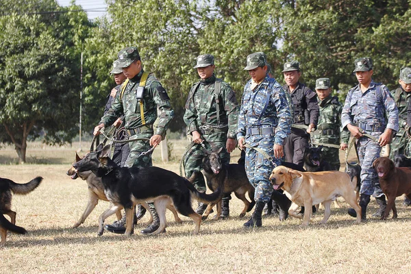 Entrenamiento de perros de guerra — Foto de Stock