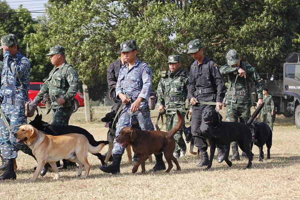 Treinamento de cães de guerra — Fotografia de Stock