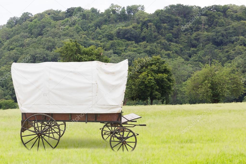 Covered wagon in fields