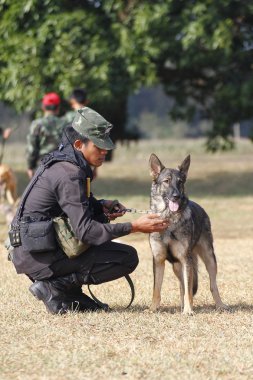 Savaş eğitim köpekleri