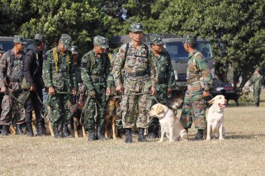 Savaş eğitim köpekleri