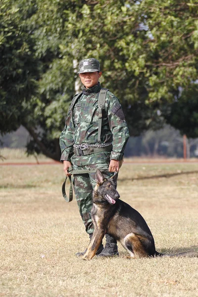 戦争の犬の訓練 — ストック写真