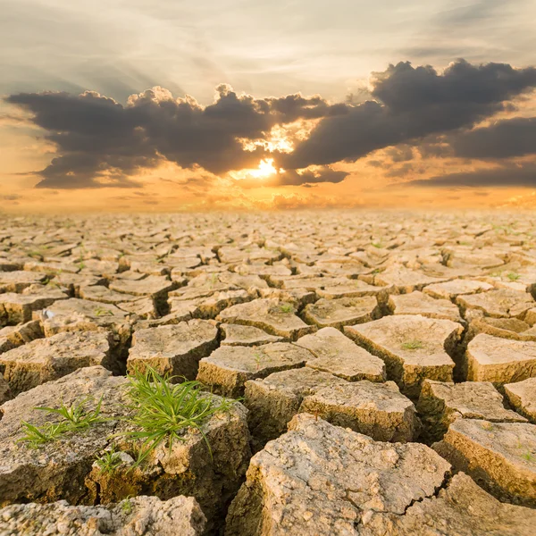 Tierra de sequía bajo el atardecer —  Fotos de Stock