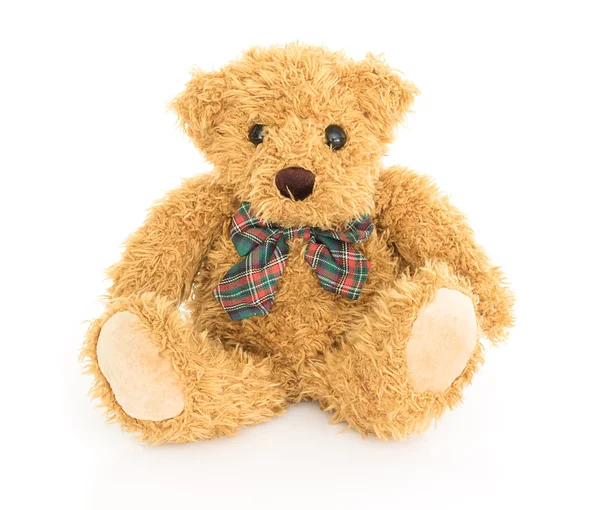 Bruin teddybeer zittend op wit — Stockfoto