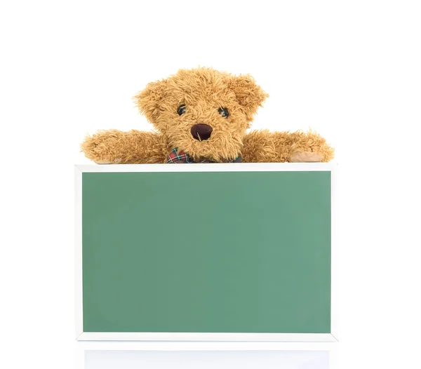 Медвежонок с пустой зеленой доской — стоковое фото