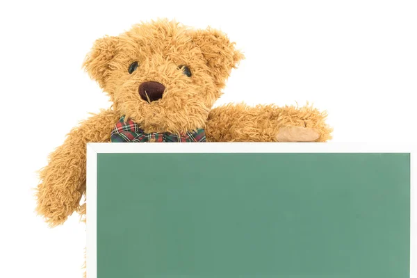 Teddybeer met leeg groen bord — Stockfoto