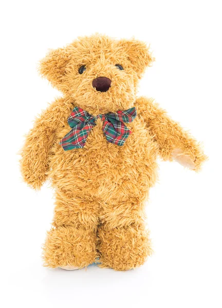 Teddy urso de pé no branco — Fotografia de Stock