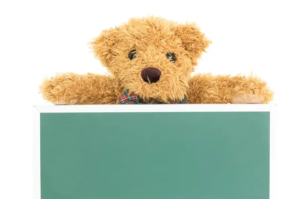Teddybeer met leeg groen bord — Stockfoto