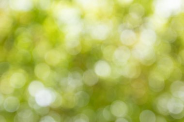  Bulanık sarı ışık dairesel bokeh soyut Noel bac için