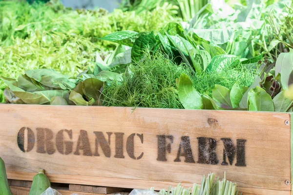 Fresh organic produce in wooden box — Stock Photo, Image
